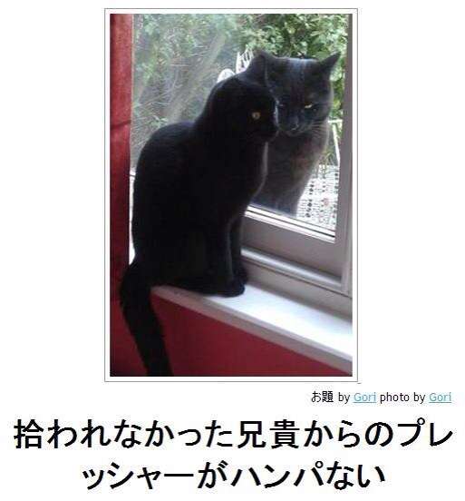 ガルちゃんで画像(サイト)を貼り付ける方法＆練習Part3