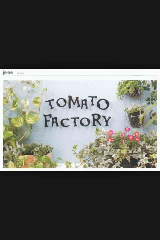 ガルちゃんで画像(サイト)を貼り付ける方法＆練習Part3