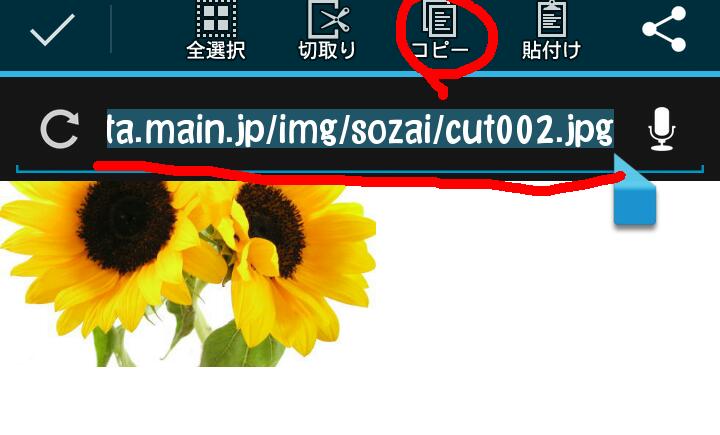 ガルちゃんで画像(サイト)を貼り付ける方法＆練習Part3