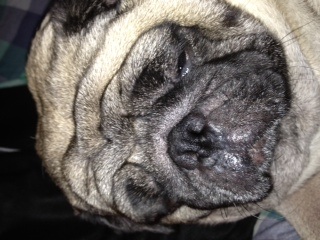 ガルちゃんで画像(サイト)を貼り付ける方法＆練習Part3