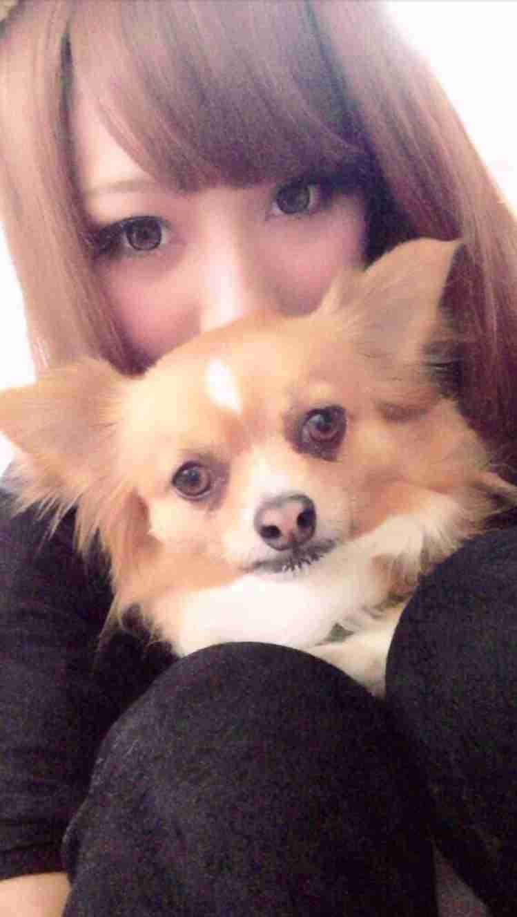 ガルちゃんで画像(サイト)を貼り付ける方法＆練習Part3