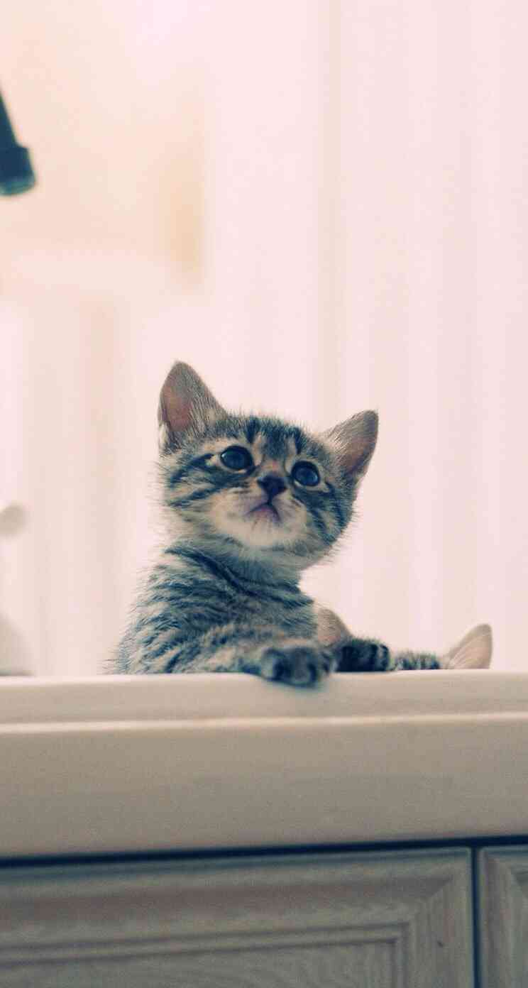 ガルちゃんで画像(サイト)を貼り付ける方法＆練習Part3