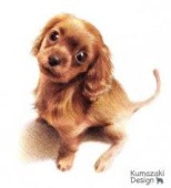 ガルちゃんで画像(サイト)を貼り付ける方法＆練習Part3