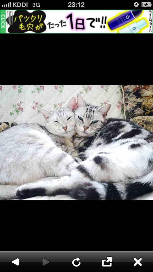 ガルちゃんで画像(サイト)を貼り付ける方法＆練習Part3