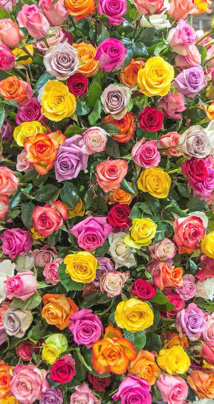 ガルちゃんで画像(サイト)を貼り付ける方法＆練習Part3