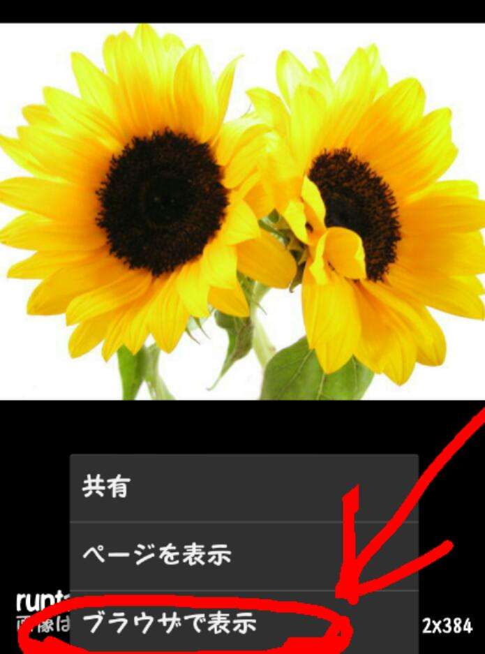 ガルちゃんで画像(サイト)を貼り付ける方法＆練習Part3