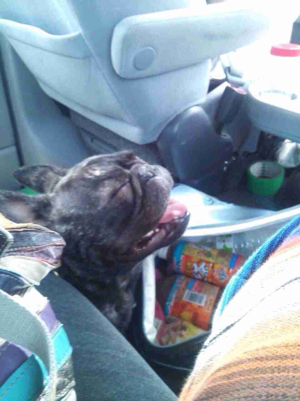 ガルちゃんで画像(サイト)を貼り付ける方法＆練習Part3