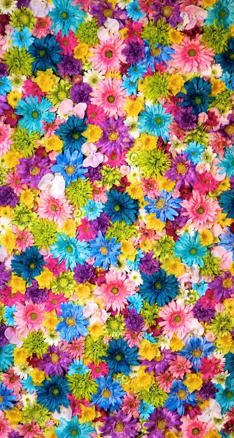 ガルちゃんで画像(サイト)を貼り付ける方法＆練習Part3