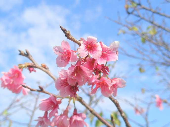 ガルちゃんで画像(サイト)を貼り付ける方法＆練習Part3