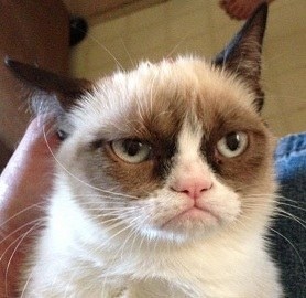 ガルちゃんで画像(サイト)を貼り付ける方法＆練習Part3