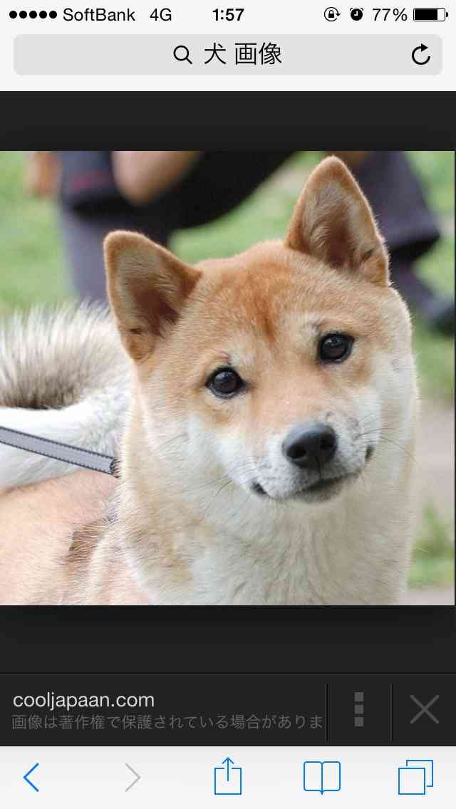 ガルちゃんで画像(サイト)を貼り付ける方法＆練習Part3