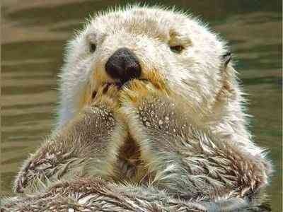 ガルちゃんで画像(サイト)を貼り付ける方法＆練習Part3