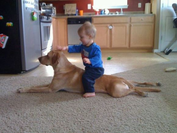 ガルちゃんで画像(サイト)を貼り付ける方法＆練習Part3