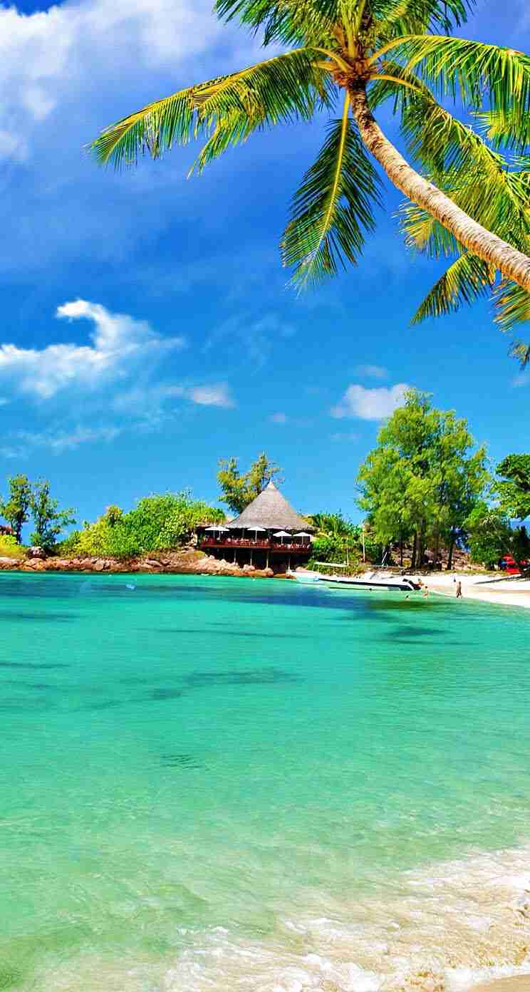 ガルちゃんで画像(サイト)を貼り付ける方法＆練習Part3