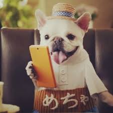 ガルちゃんで画像(サイト)を貼り付ける方法＆練習Part3