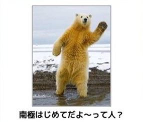 ガルちゃんで画像(サイト)を貼り付ける方法＆練習Part3