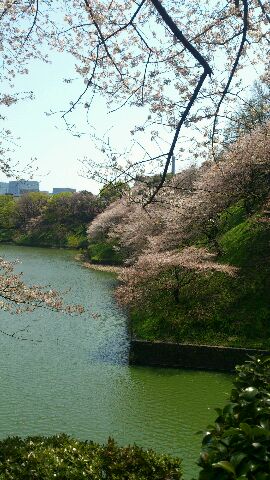 ガルちゃんで画像(サイト)を貼り付ける方法＆練習Part3