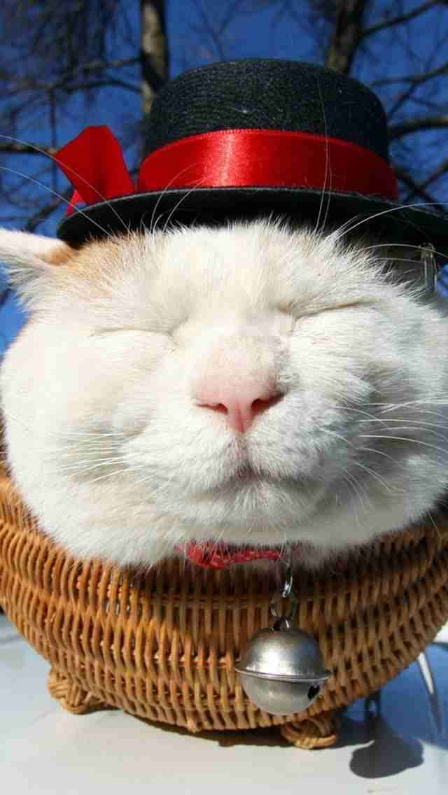 ガルちゃんで画像(サイト)を貼り付ける方法＆練習Part3