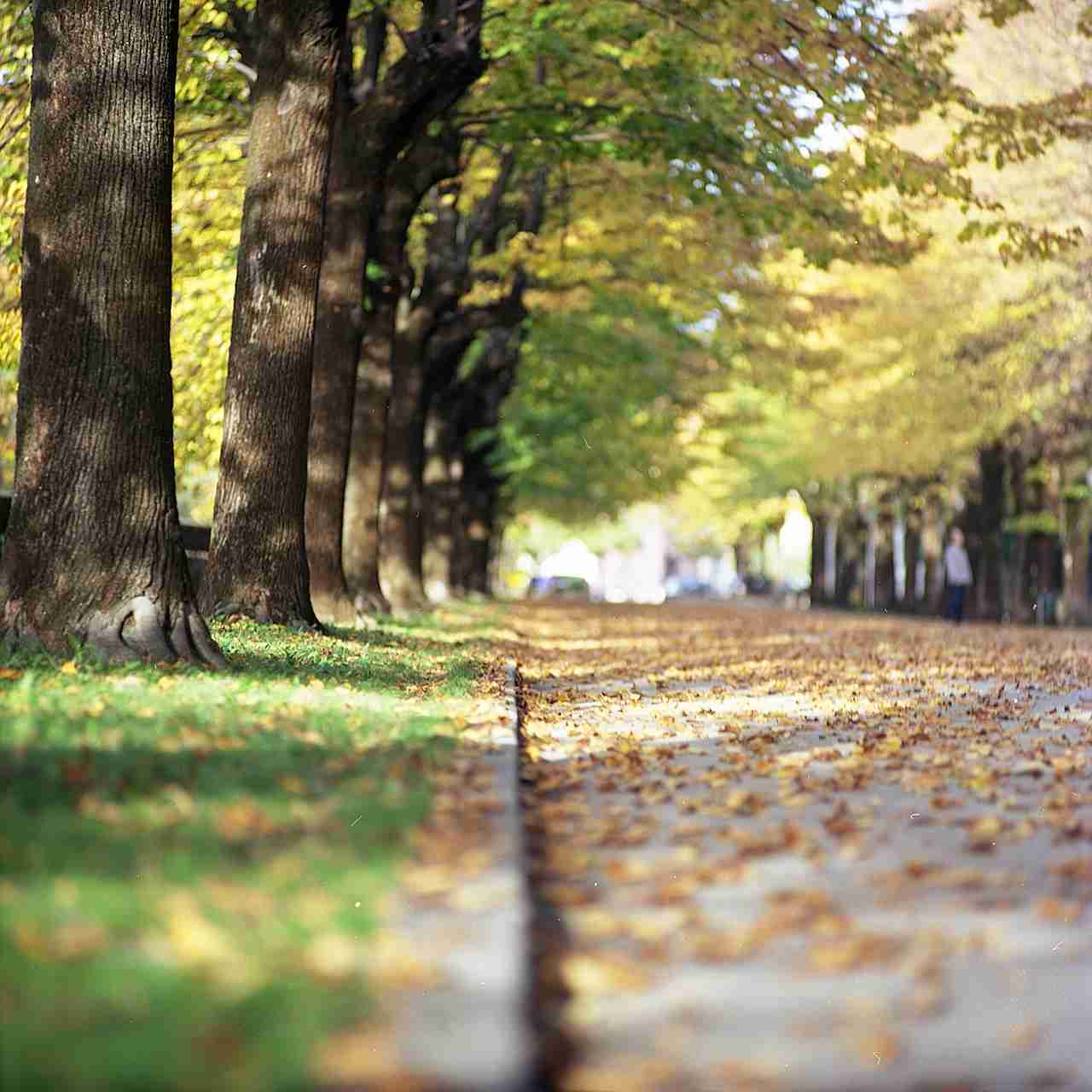 ガルちゃんで画像(サイト)を貼り付ける方法＆練習Part3