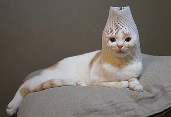 ガルちゃんで画像(サイト)を貼り付ける方法＆練習Part3