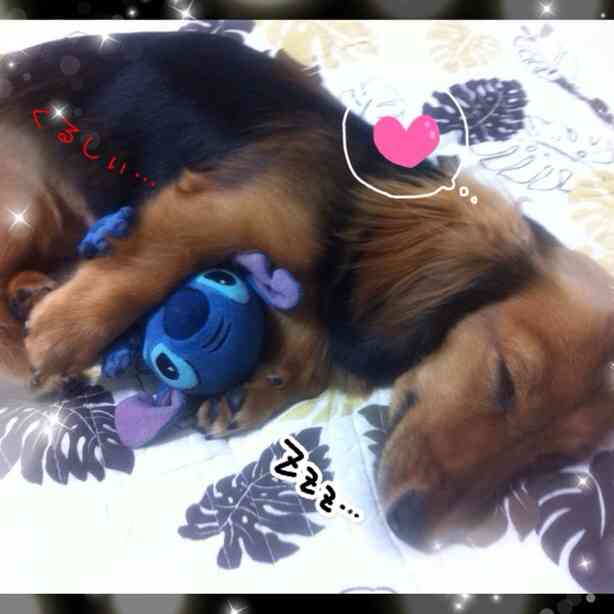 ガルちゃんで画像(サイト)を貼り付ける方法＆練習Part3