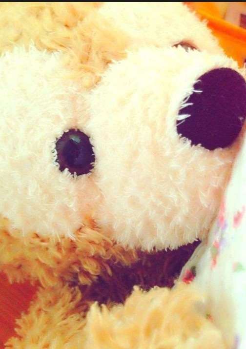 ガルちゃんで画像(サイト)を貼り付ける方法＆練習Part3