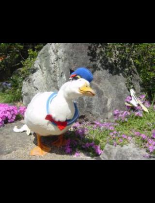 ガルちゃんで画像(サイト)を貼り付ける方法＆練習Part3