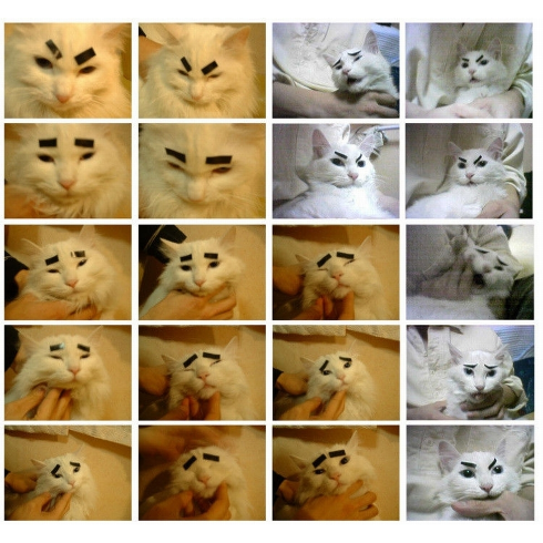 ガルちゃんで画像(サイト)を貼り付ける方法＆練習Part3