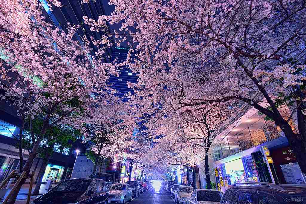 ガルちゃんで画像(サイト)を貼り付ける方法＆練習Part3