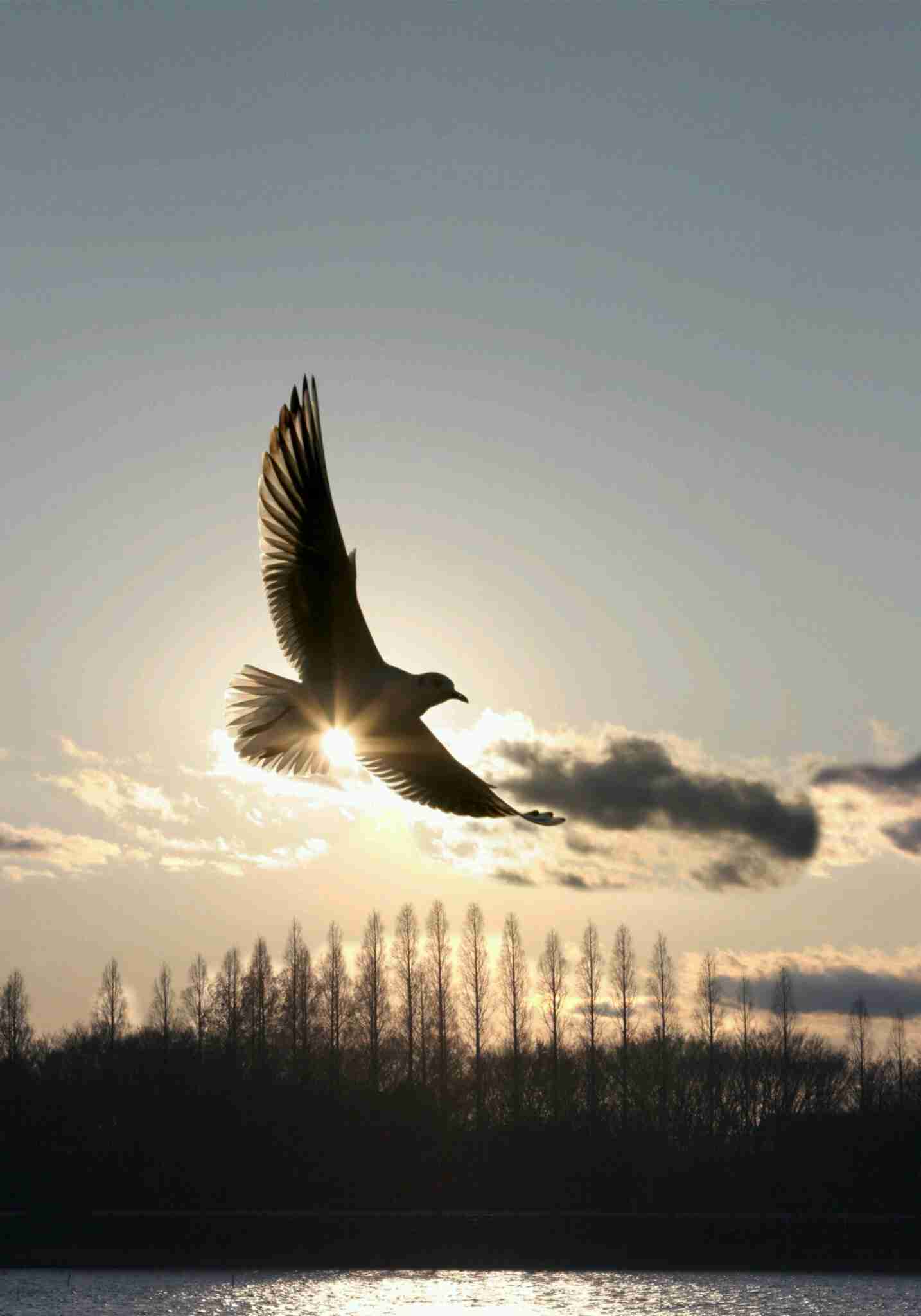 ガルちゃんで画像(サイト)を貼り付ける方法＆練習Part3