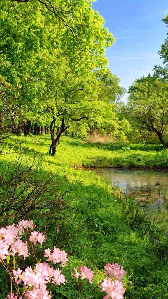 ガルちゃんで画像(サイト)を貼り付ける方法＆練習Part3