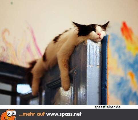 ガルちゃんで画像(サイト)を貼り付ける方法＆練習Part3