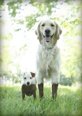 ガルちゃんで画像(サイト)を貼り付ける方法＆練習Part3