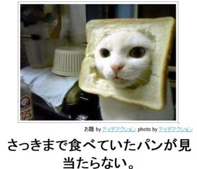 ガルちゃんで画像(サイト)を貼り付ける方法＆練習Part3