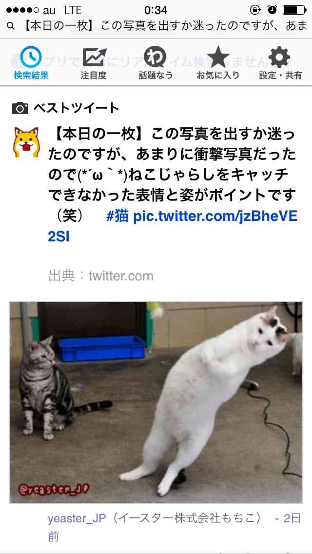 みんなでくだらない話をして元気になりませんか?