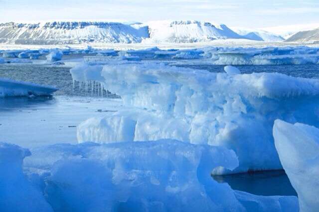 夏のガルちゃん夕涼み会( ´ ▽ ` )