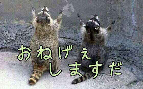 動物たちに癒やしてもらうトピック