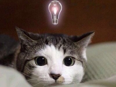 動物たちに癒やしてもらうトピック