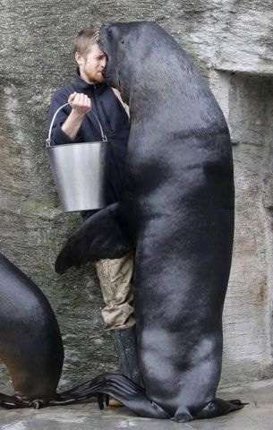 動物たちに癒やしてもらうトピック