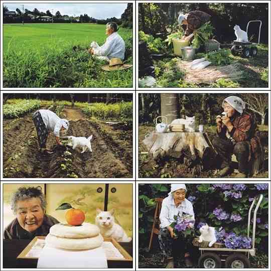 動物たちに癒やしてもらうトピック