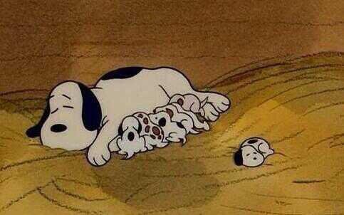 動物たちに癒やしてもらうトピック