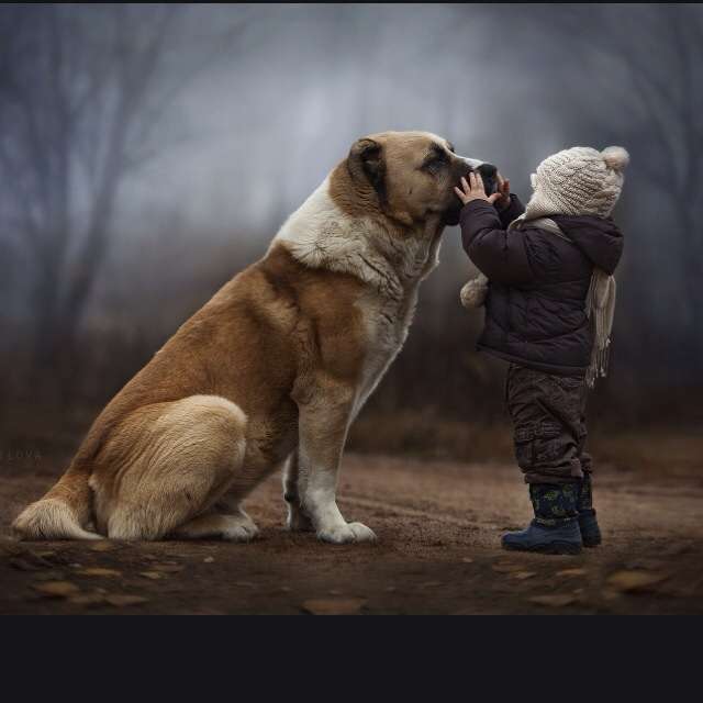 動物たちに癒やしてもらうトピック