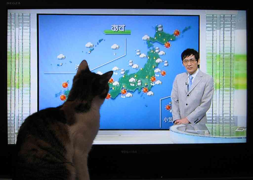 じわじわくる画像をください