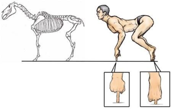 じわじわくる画像をください