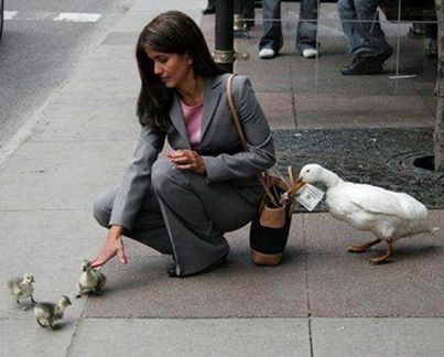 じわじわくる画像をください