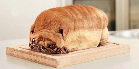 じわじわくる画像をください