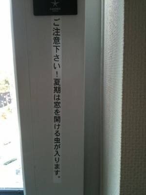 じわじわくる画像をください