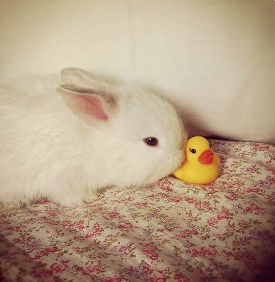 心が温まる画像をください。