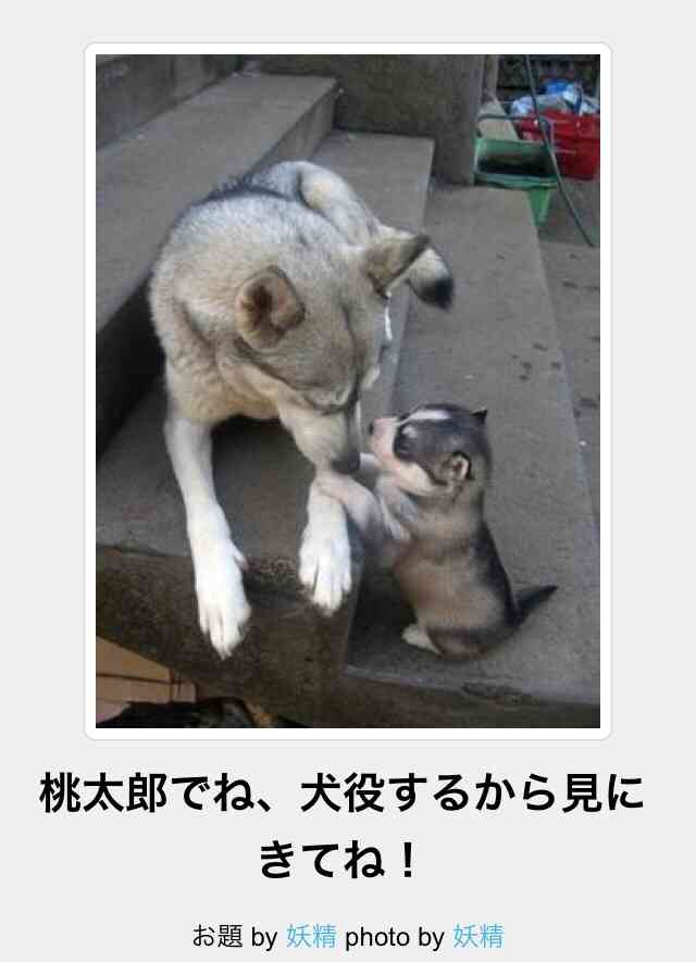 心が温まる画像をください。