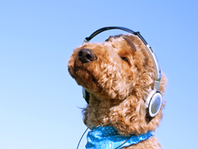 あまり音楽聴かない方～！